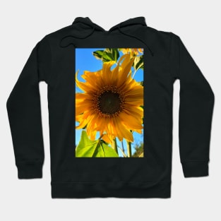 Sun Kissed Sunflower Hoodie